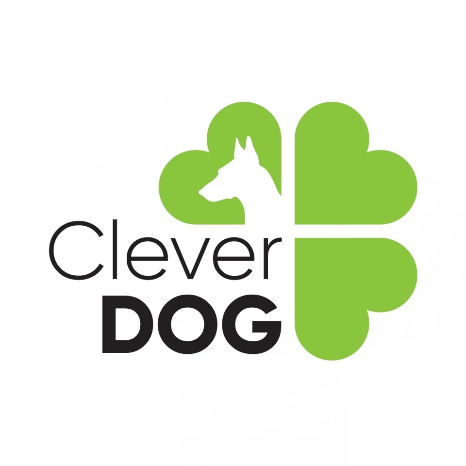 Школа дрессировки собак Cleverdog на улице Фрунзе | Телефон +7 (812)  900-20-51 | Отзывы на VetSpravka.ru