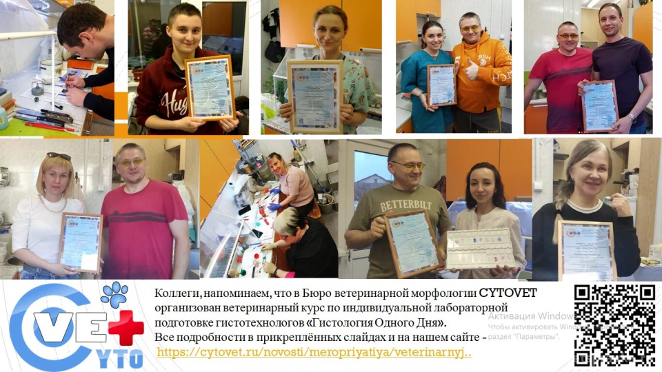 cytovet vélemények