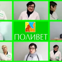 Клиника Поливет Фото 2 на проекте VetSpravka.ru Клиника Поливет Фото 2 на проекте VetSpravka.ru