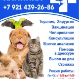 Ветеринарная клиника на улице Молодцова  на проекте VetSpravka.ru