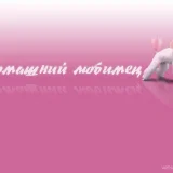 Зоопарикмахерская Домашний любимец  на проекте VetSpravka.ru