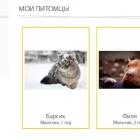 Зоомагазин Филя  на проекте VetSpravka.ru