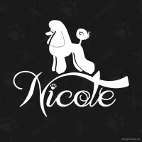 Студия груминга Nicole Фото 2 на проекте VetSpravka.ru Студия груминга Nicole Фото 2 на проекте VetSpravka.ru