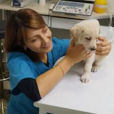 Ветеринарная клиника Толстый Лори  на проекте VetSpravka.ru