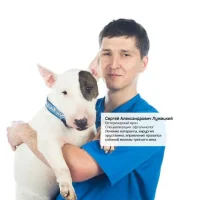 Ветеринарная клиника неврологии доктора Сотникова на улице Репищева Фото 2 на проекте VetSpravka.ru Ветеринарная клиника неврологии доктора Сотникова на улице Репищева Фото 2 на проекте VetSpravka.ru