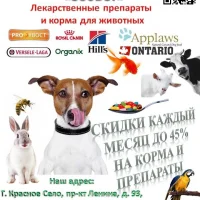 Ветеринарная аптека ЗооВет Фото 2 на проекте VetSpravka.ru Ветеринарная аптека ЗооВет Фото 2 на проекте VetSpravka.ru