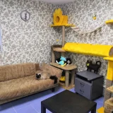 Гостиница для животных Кошки-Мышки  на проекте VetSpravka.ru