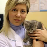 Ветеринарная клиника Био-Вет Фото 2 на проекте VetSpravka.ru
