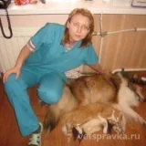Выездная ветеринарная служба Алле вет Фото 1 на проекте VetSpravka.ru